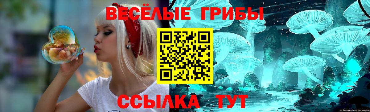 Псилоцибиновые грибы Cubensis Берёзовский