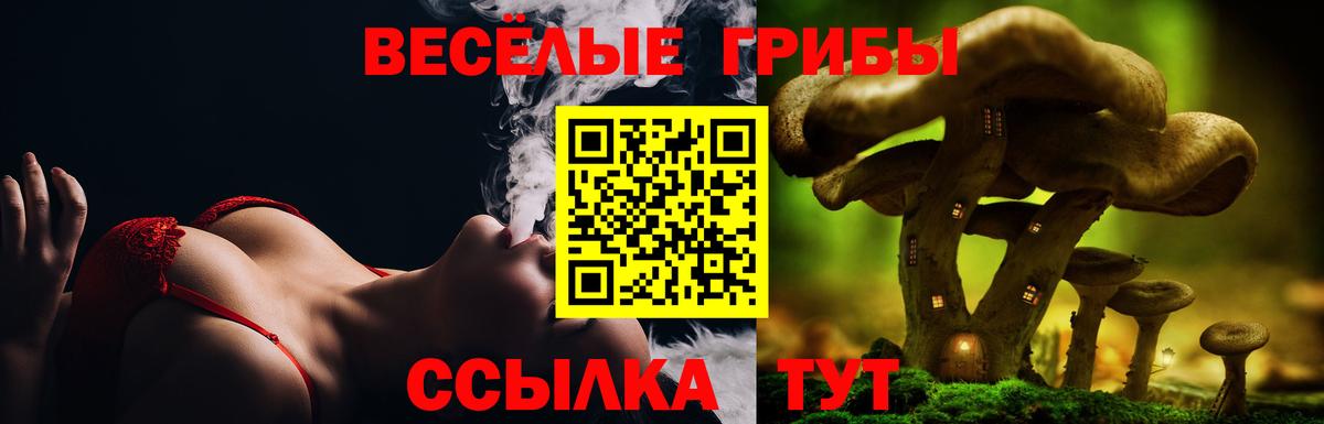 купить наркотик  Вход с VPN  Берёзовский  Псилоцибиновые грибы MAGIC MUSHROOMS 